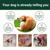 Your dog is already telling you