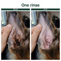 Before and after one rinse