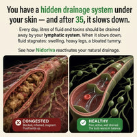 Congested versus healthy lymphatic system under the skin