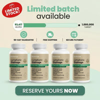 Limited stock, 90-day guarantee, free shipping and secure payment