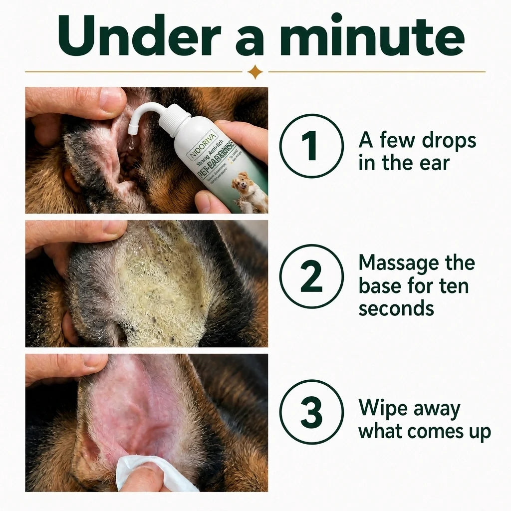 Under a minute: 3 steps